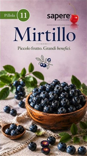 Mirtillo: piccolo frutto, grandi benefici