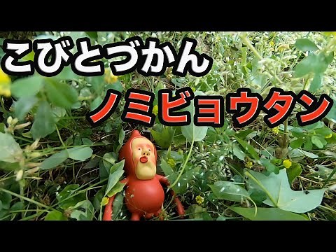 【ノミビョウタン】を見つけた。【こびとずかん】