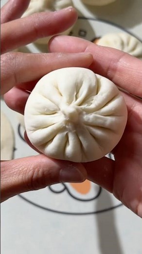How to Make Baozi / Bao Buns 蒸包子