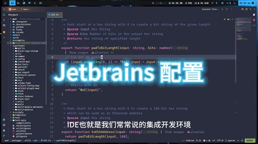 Jetbrains IDE 配置
