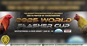 World Slasher Cup-1 first round elims today - LionhearTV