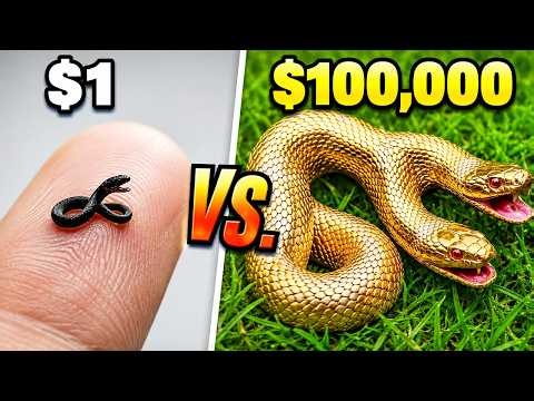 TerraGreen: $1 vs. $100,000 Pet Snake! Compilation