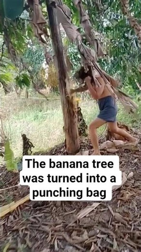 the banana tree was turned into a punching bag 😱 #shorts