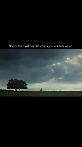 Pride & Prejudice (2005) Love Confession Scene