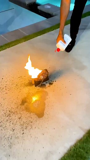 Destructive Prank: Burning a $3000 Designer Purse