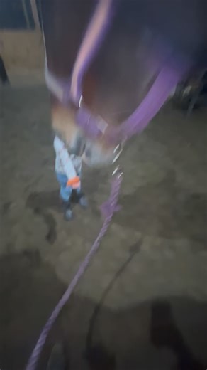 Saturday night snackies 🥕 We had a fun girls day today! We went to two different farms today. First we went to see some friend’s horses this morning and then we went to see Tilly this evening to give her a haircut! Love being busy and outdoors with Little P 🥰 💜🦄 #treats #friends #horse #horsesofinstagram #horsebackriding #equine #equestrian #horsegirl #horselover #horsereels #toddlerfun #childhood #toddler #motherhood #momlife #horseblog #drafthorse #family #qualitytime #farm #ranchlife #cly