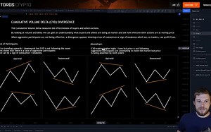 CVD Divergence - Beginners Guide [中文字幕]