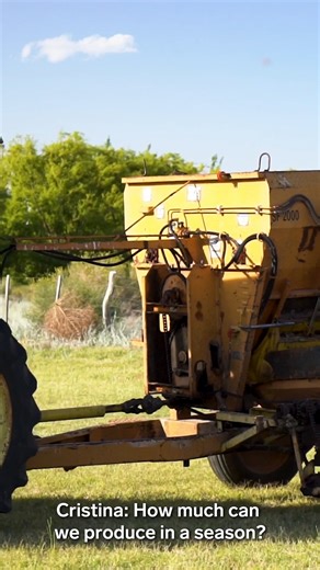 2M views · 17K reactions | Traditional Argentine barbecues date back to the 16th century. One inventor created a new twist on the custom, turning discarded fruit from cider production into logs that can replace firewood and charcoal. | Insider Tech | Facebook