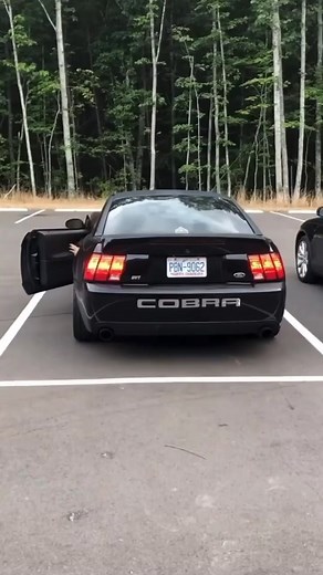 Terminator Cobra Borla Exhaust Sound Compilation