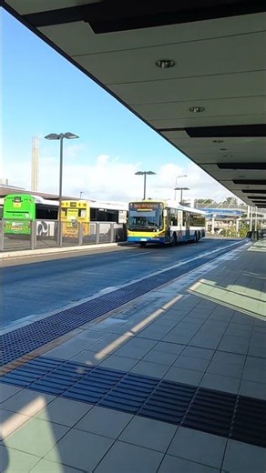 Custom Coaches 'CB60 Evo II Departed PA Hospital Heading To UQ Lakes From Sunnybank Hills (Route139)