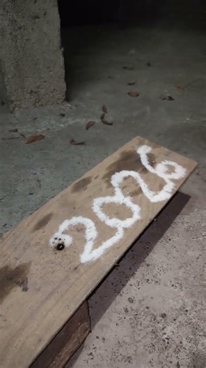 fire experiments - 2026 #explore #experiment #science