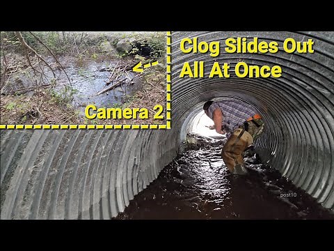 Removing Very Thick Beaver Dam From Tight Culvert Pipe Filled With Mosquitoes