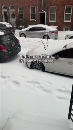 Waiting for the spring transition like...