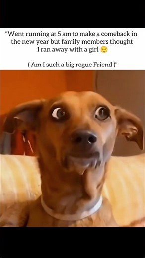 COME BACK #shorts #comedy #funny #memes #fantasticmeme