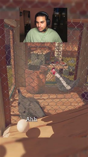 Kind Of Game I Need To Avoid