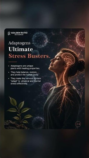 𝐑𝐄𝐒𝐄𝐓 Your Stress Hormones with Adaptogens!