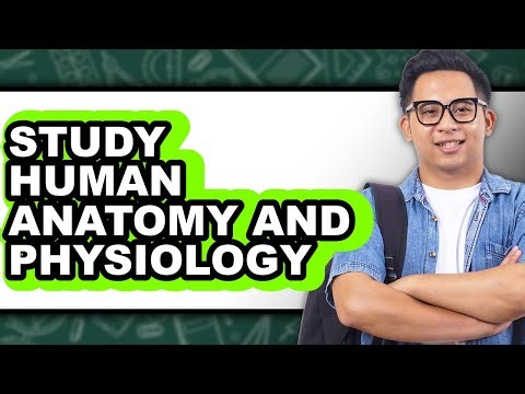 How to Study Human Anatomy and Physiology (Only Way)