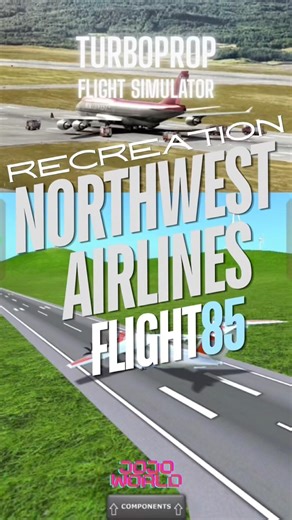 TFS : Recreation Northwest Airlines Flight 85