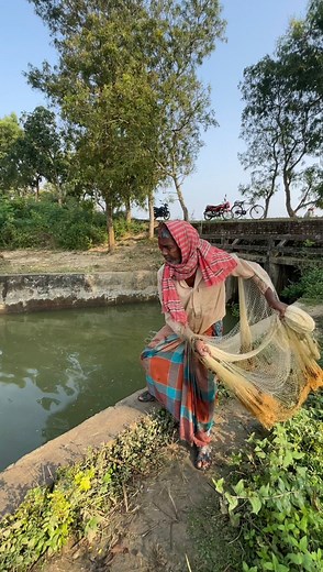 Best river fishing | Daily Fishing Life