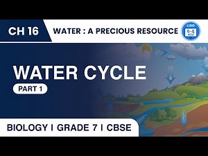 Water Cycle | Water: a precious resource | Class 7 Biology Chapter 16
