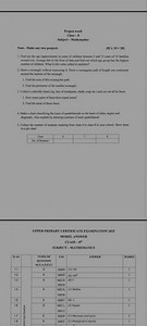 Project workClass - 8Subject - MathematicsNote - Make any tw... | Filo