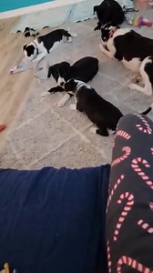 Jumping into the holiday weekend like... 🤣 | The Bond Between