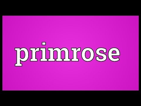 Primrose Meaning