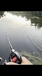 Casting directly can be struck by a large predatory fish | Petualang Mancing