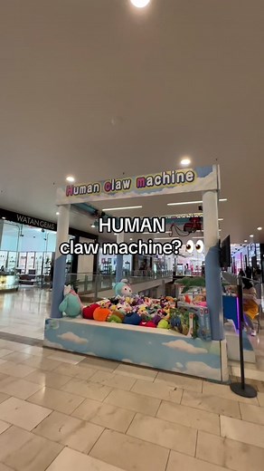 Pincessshannon on TikTok