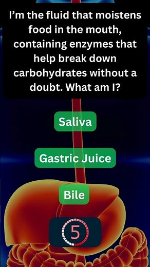 Interesting Fact About Your Digestive System! 🍽️ #BodyFacts 29