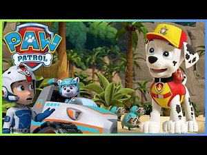 Sea Patrol! - PAW Patrol - Cartoons for Kids