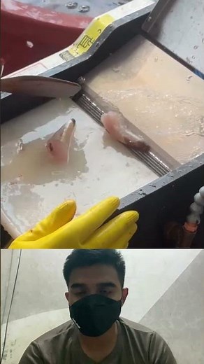 This Machine Peels Fish Skin Like Magic!