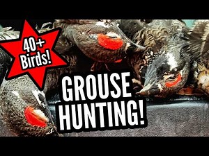 GROUSE HUNTING IN QUEBEC CANADA! - Ruffed & Spruce Grouse Hunting