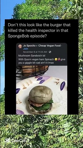 don’t this look like the burger that killed the health inspector in that SpongeBob episode?