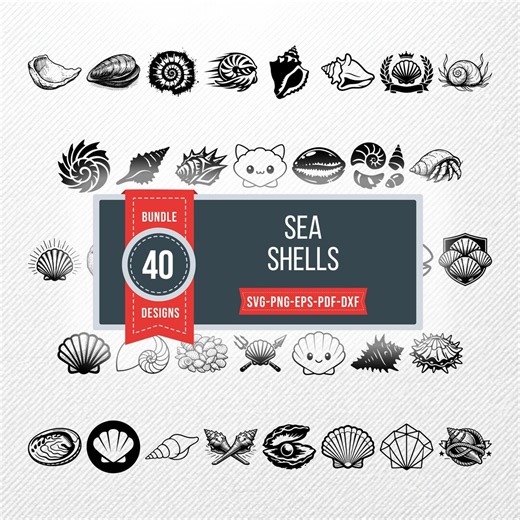 Sea Shells SVG Bundle | 40 Clipart PNG PDF Eps Dxf | Commercial Use Vector Silhouette | Conch Scallop Print on Demand - Etsy