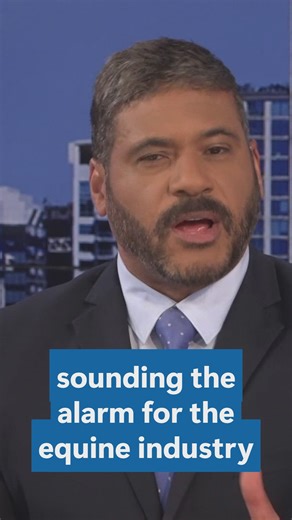 Deadly horse virus outbreak linked to Texas competition