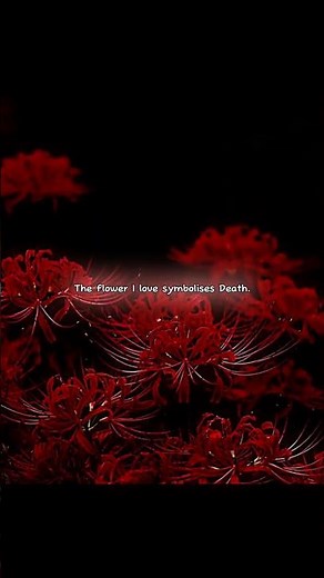 the flower i love 🥀❄️💌 #aesthetic #relatable #shorts #peace #nature #shortsfeed #trending #fyp #edit