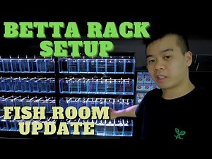 Aqua One BETTA RACK Setup | Fish Room Update