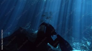 Divers swimming in a cenote with light rays. Divers in a cave. Clear water diving. Elden Cenote Stock Video