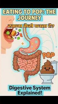भोजन से ऊर्जा तक का सफर | Digestive System Explained in Hindi
