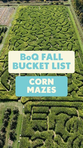 Caroline from the Municipality of Brighton joined Anna to try out the corn maze at Cricklewood Farm—the winner of Best Corn Maze from our last Best of the Bay! 🌽 This 5th-generation farm is known for its epic 6-acre maze and one-acre mini maze, along with the apple orchard that grows over 60 varieties, three pumpkin patches and other seasonal produce. ✅ Find more corn mazes and get our full bucket list of 15 things to do in the BoQ this fall on bayofquinte.ca/fallbucketlist 📍 Cricklewood Farm 