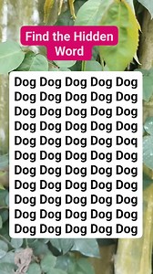 91K views · 948 reactions | Find the Hidden Word #brainteaser #search #find | MM Production | Facebook