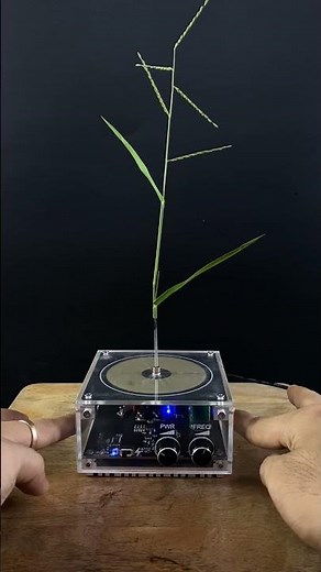 Tesla Coil Music Box #scienceexperiment