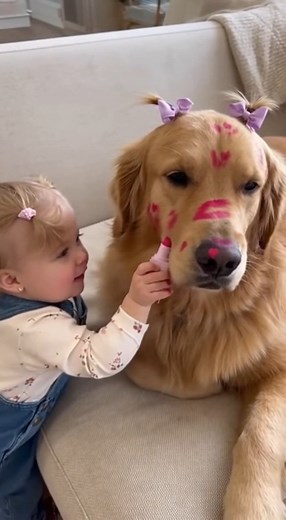 5.2K reactions · 593 shares | Puppy’s first makeup tutorial   100...