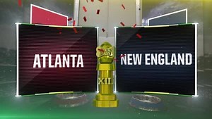 Here's what the Puppy Bowl puppies think about that other Big Game... | Animal Planet