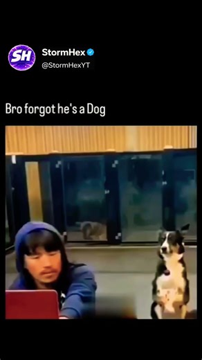 #meme #memes