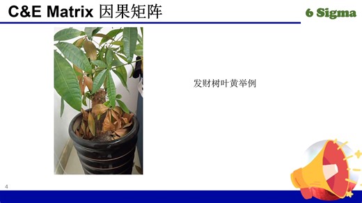 C&E Matrix 因果矩阵