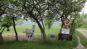 6 caskets, 36 pallbearers and a funeral director's tears