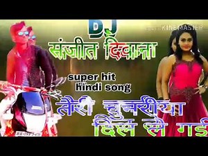 Hindi Love song remix 2019 Dj sanjeet kumar diwana