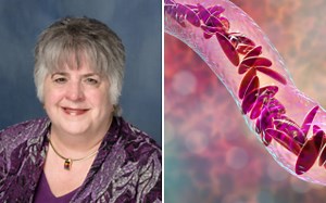 2023 »  College of Nursing » University of Florida